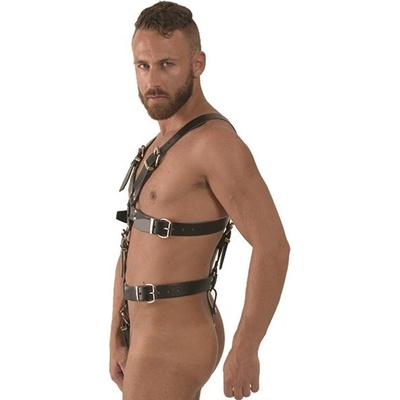 Mister B Master Harness