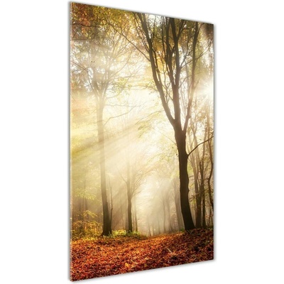 Vertikálny foto obraz sklo tvrdené Les na jeseň 50x100 cm