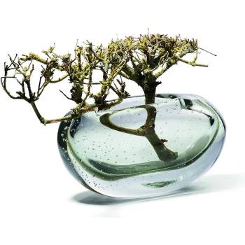 Image 1 of Philippi (Германия) Ваза philippi amara стъклена - ниска (ph 107015)