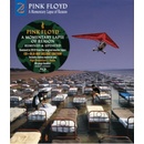 Hudba Pink Floyd - A Momentary Lapse Of Reason Remixed & Updated 2 CD