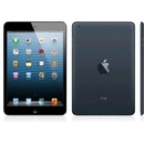 Apple iPad Mini 16GB WiFi MD528HC/A