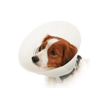 Kruuse Buster Classic Collar Plastový ochranný límec 10 cm