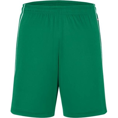 DA Daiber BER JN 387 pánské týmové kraťasy green/white