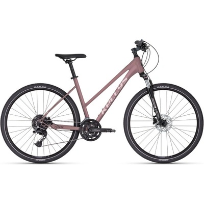 Kellys Pheebe 30 2025