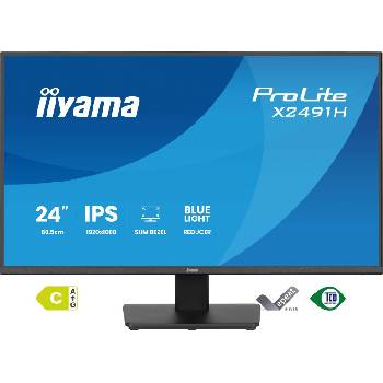 iiyama ProLite XU2491H-B1