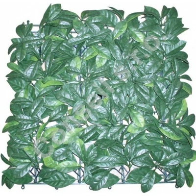 PRUNUS (50CM X 50CM)