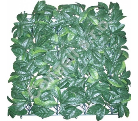 PRUNUS (50CM X 50CM)