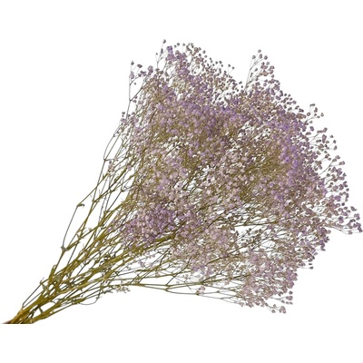 Stabilizovaná Gypsophila - Nevestin závoj 80g - fialový