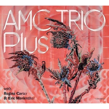 AMC TRIO - PLUS CD