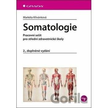 Somatologie