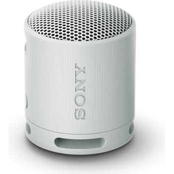 SRS XB100