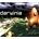 Darwinia