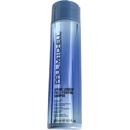 Paul Mitchell Spring Loaded Frizz Fighting Shampoo 250 ml