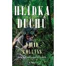 Hlídka duchů