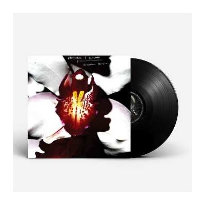David Lynch: Cellophane Memories LP