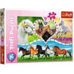 Trefl Puzzle 200 pcs Beautiful Horses Trefl 13248