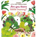 Are you there Little Bunny? Sam Taplin