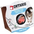 Ontario Fresh Brunch Kitten Ocean Fish 80 g