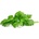 Click & Grow Семена Click and Grow Листна целина, 3 броя (SGR97X3)