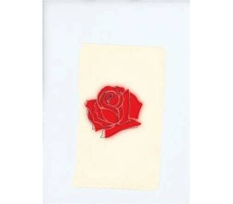 LANY: LANY CD