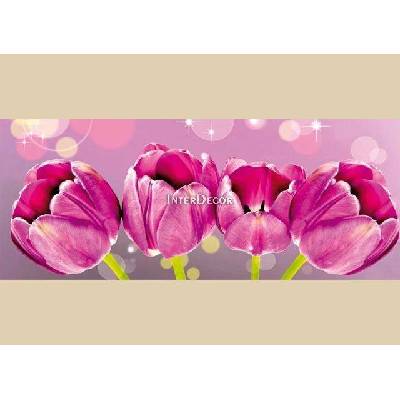 Fialové tulipány 1 deska 70x30