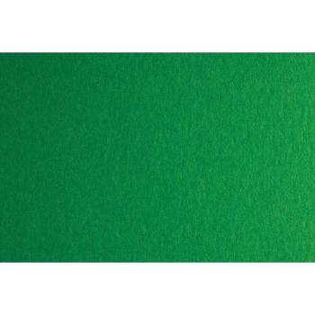 Fabriano Картон Colore, 70 x 100 cm, 140 g/m2, № 231, зелен (1530100064)