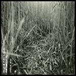 BMG Cunningham Charlie: Permanent Way - CD (032351)