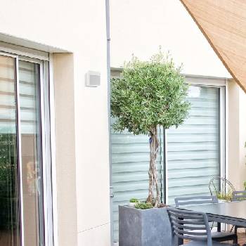 Image 1 of Rábalux Balimo 7477