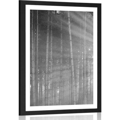 Plakát s paspartou slunce za stromy v černobílém provedení - 30x45 black
