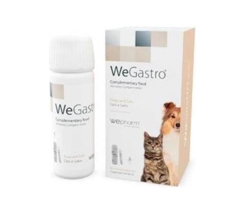 WeGastro 60 ml