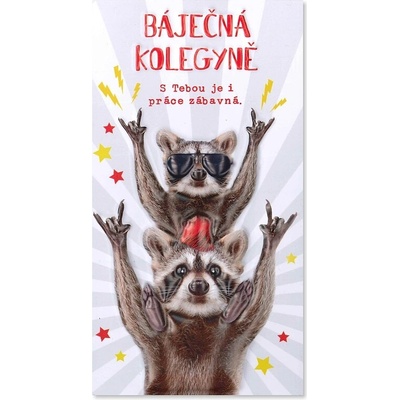 Albi 3D čokoláda Báječná kolegyně 3DT 50 g