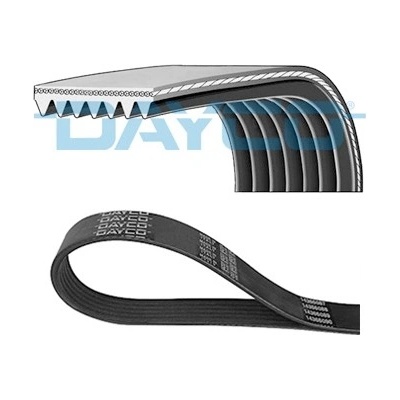 DAYCO EUROPE KWD1113