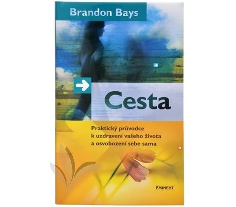 Cesta - Brandon Bays