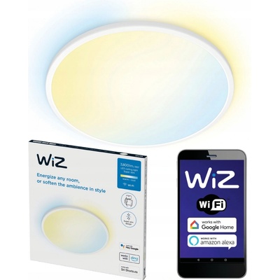 WiZ WI0060
