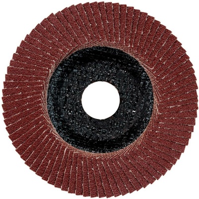Metabo Lamelový brúsny kotúč 22.23 mm 624392000 10 ks
