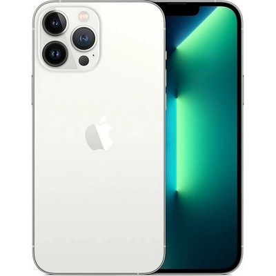 Apple iPhone 13 Pro Max 128GB Silver – Zboží Živě