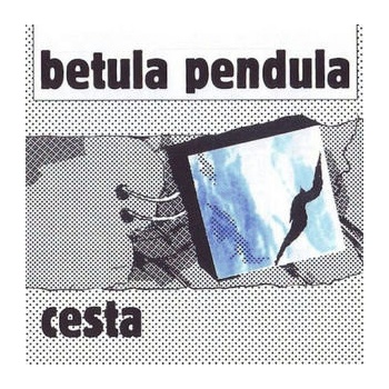 Cesta - Betula pendula