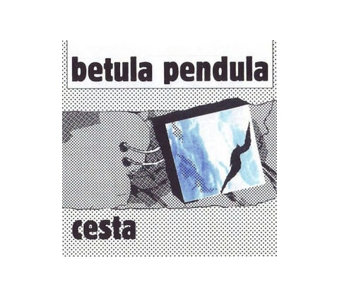 Cesta - Betula pendula