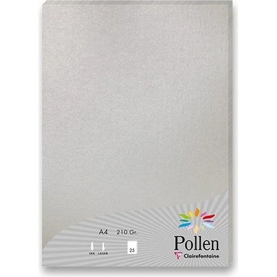 ACTIVA Dopis.karta CF - 210x297mm, stříbrná 210 g