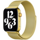 Eternico Elegance Milanese na Apple Watch 38 mm/40 mm/41 mm gold AET-AWMNS-go-38