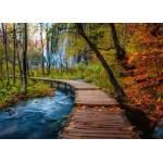 Ravensburger - Puzzle Beautiful Walkways: Autumnal Woodland Trail, Croatia - 1 000 piese