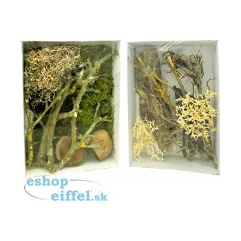 Lucky Reptile Deco Set Mantis