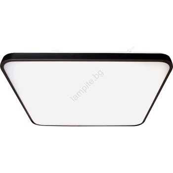 MILAGRO Fabio ML7937