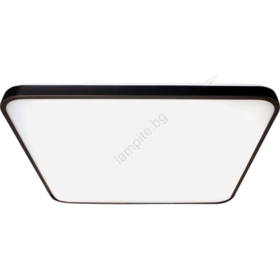 MILAGRO Fabio ML7937