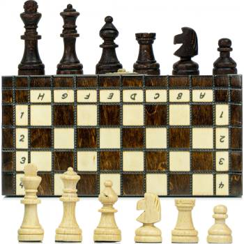Amazinggirl Šachová hra šachová šachovnica drevo vysokej kvality šachovnica skladacia so šachovými figúrkami veľká pre deti aj dospelých 20X20 cm