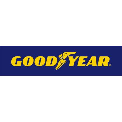 Goodyear Vector 4Seasons 215/55 R18 99V