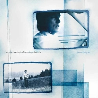 The World Is a Beautiful Place & I Am No Longer Afraid to Die - DREAMS OF BEING DUST Vinyl