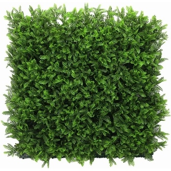 Asplenium dark, dílec 50 x 50 cm
