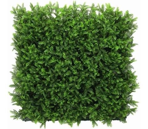 Asplenium dark, dílec 50 x 50 cm