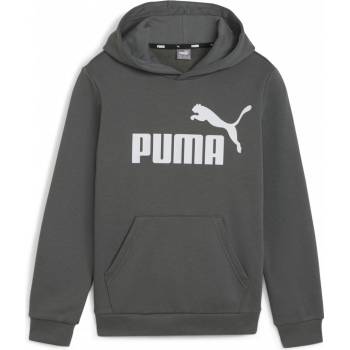 Puma Ess Big Logo Hoodie FL B 58696560 sivá